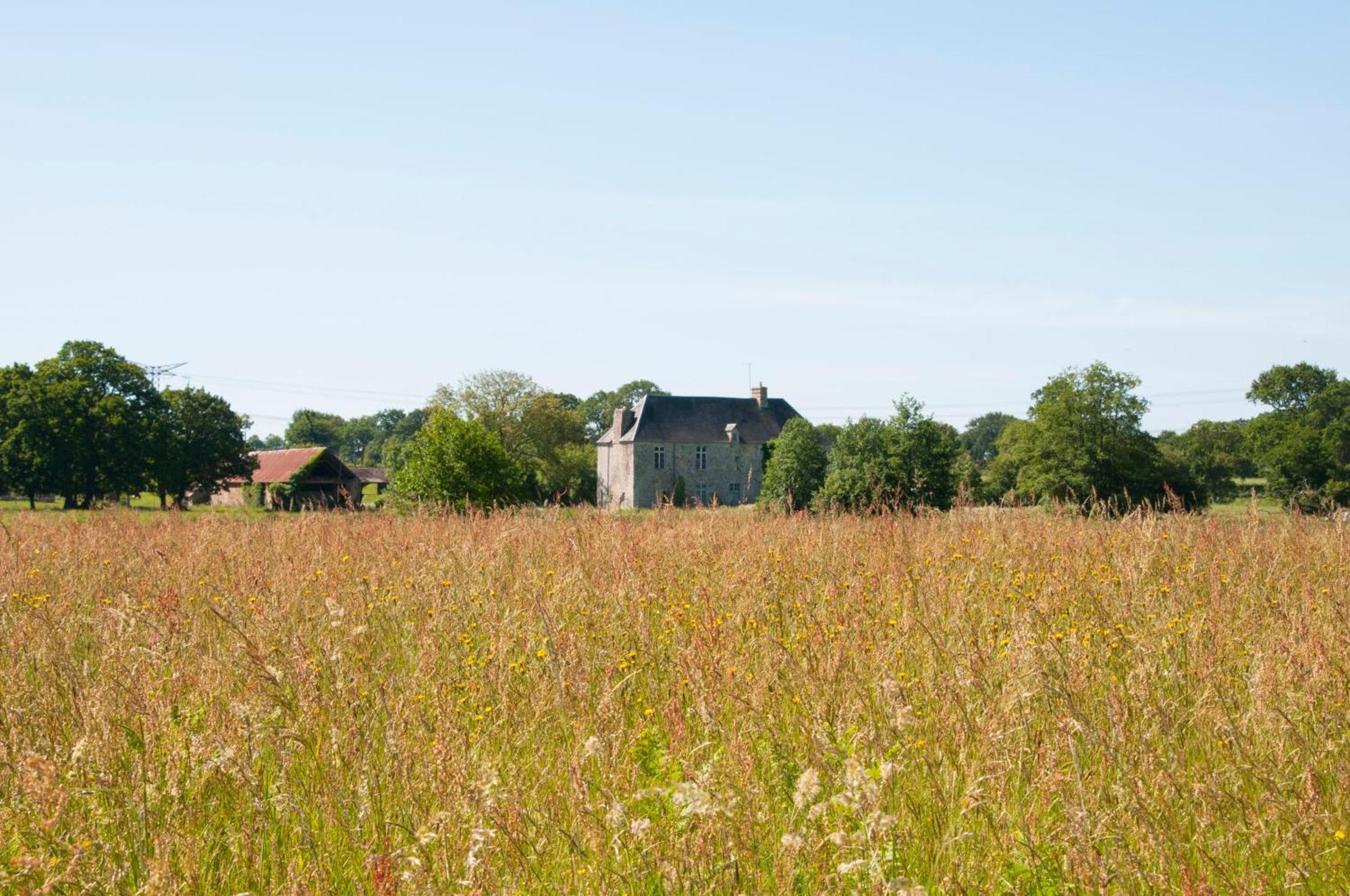 La Maison Des Tilleuls Saint-Germain-Sur-Seves Екстер'єр фото